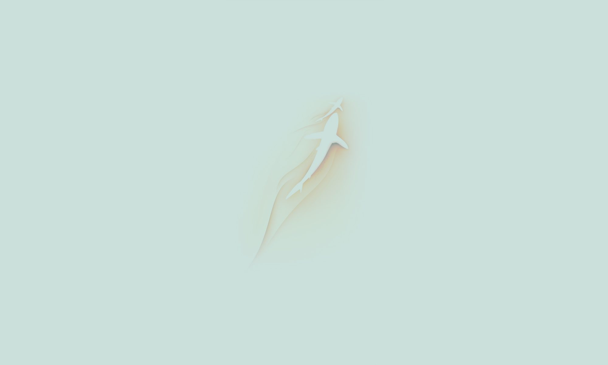 舒玮琦